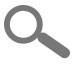 Data Mining Services