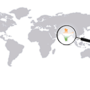 Why outsource to India?