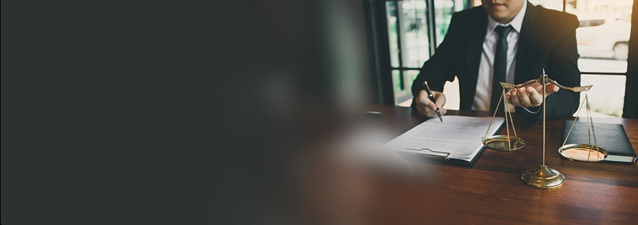 Litigation Support Services