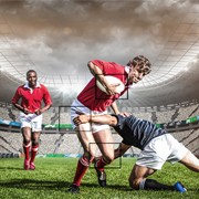 O2I Provided Data Entry and Image Tagging Services for an Irish Sports Analytics Firm O2I Provided Data Entry and Image Tagging Services for an Irish Sports Analytics Firm