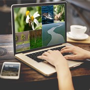 Case Study on Image Categorization Services