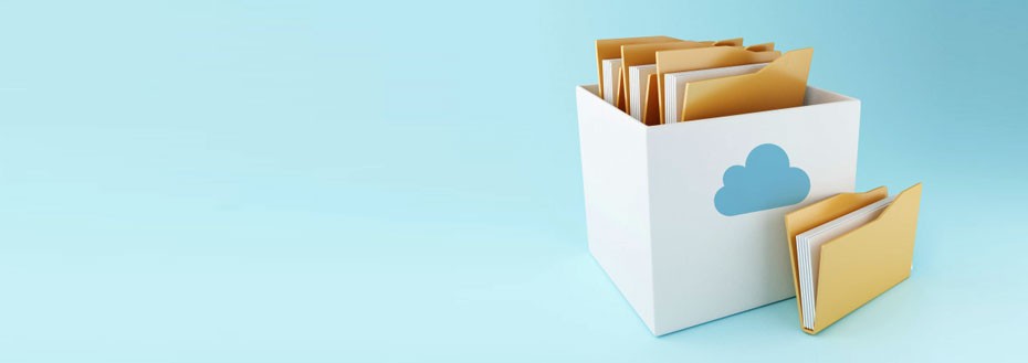 Catalog Building and Indexing Services