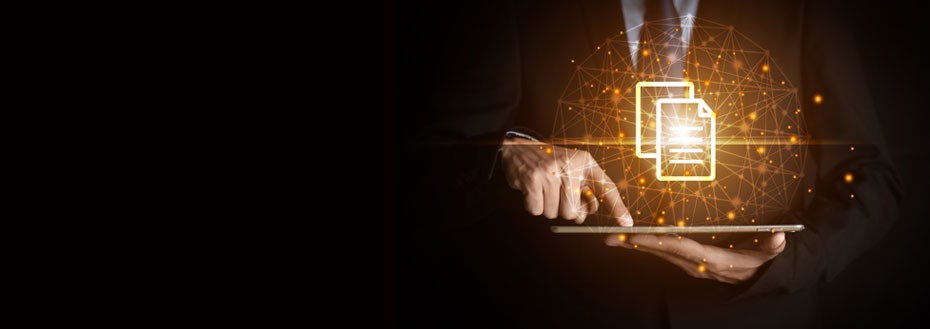 Data Formatting Services