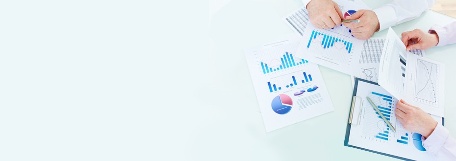 Data Governance Services
