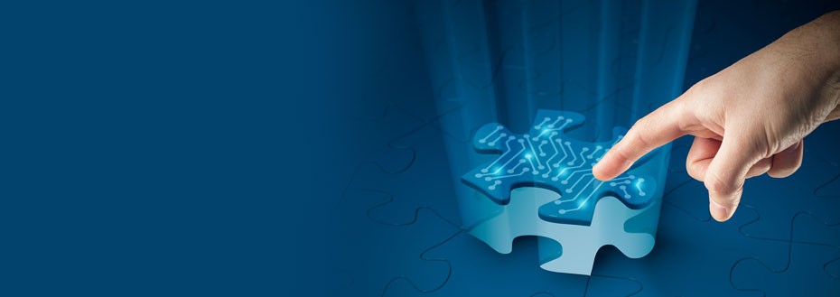 Data Intelligence Services