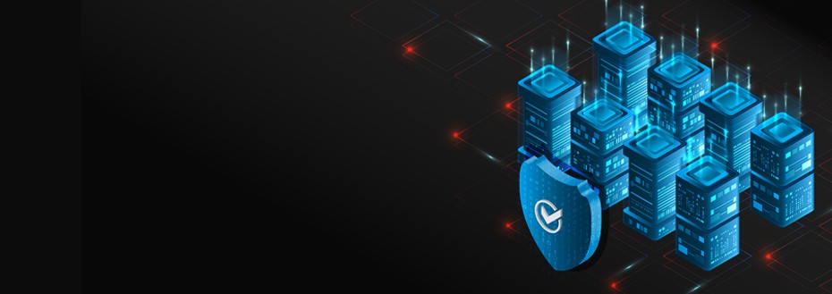 Data Masking Services