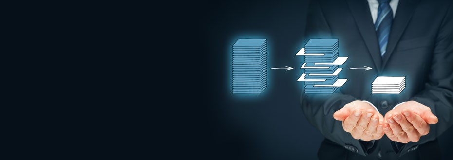 Data Mining Services