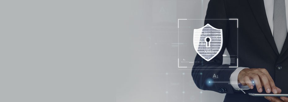 Data Protection Officer Services