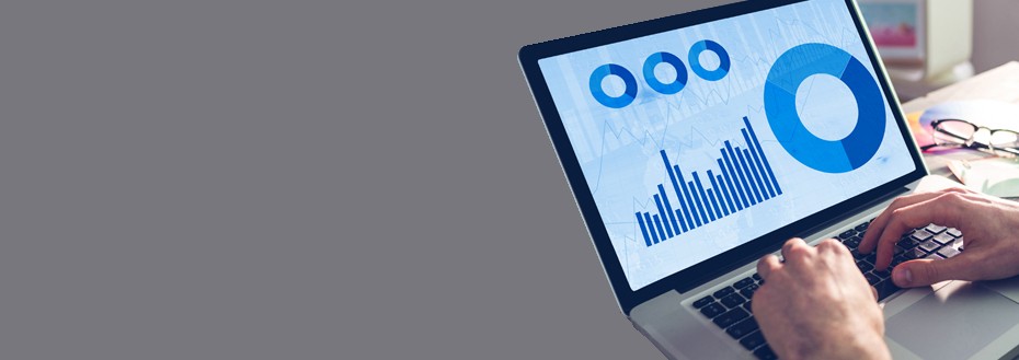 Data Scrubbing Services