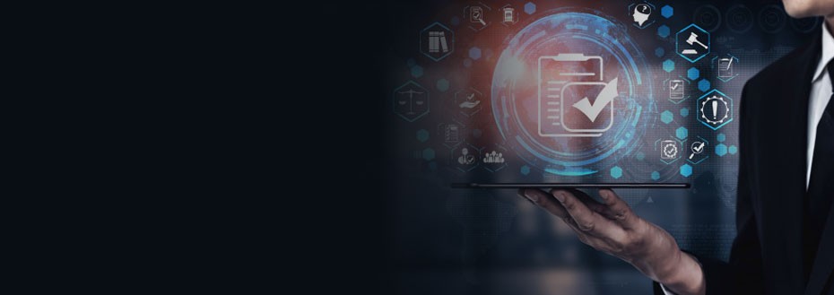 Data Standardization Services