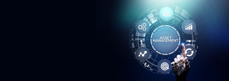 Digital Asset Management Services