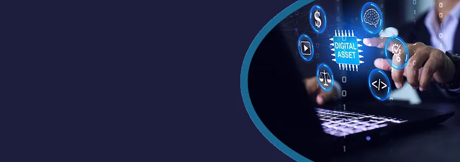 Outsource Digital Asset Management Services