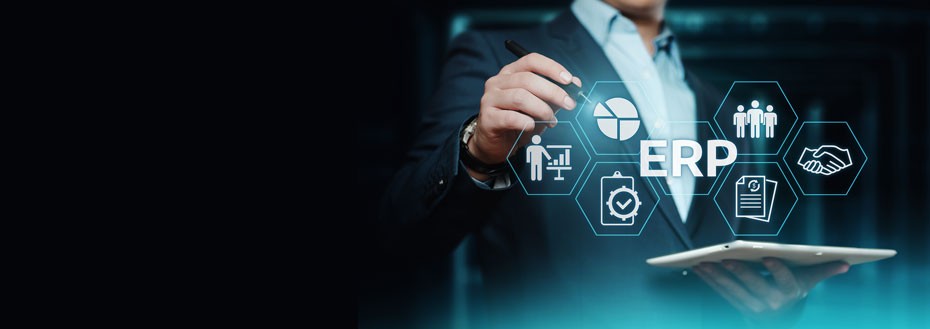 ERP Data Entry Services