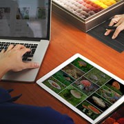 Image Data Entry Services