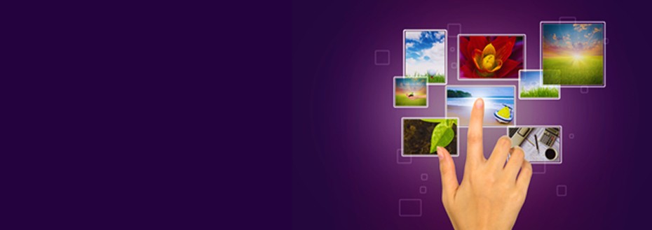 Image Search Services