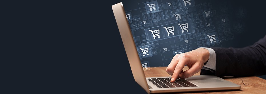 Magento Data Entry Services