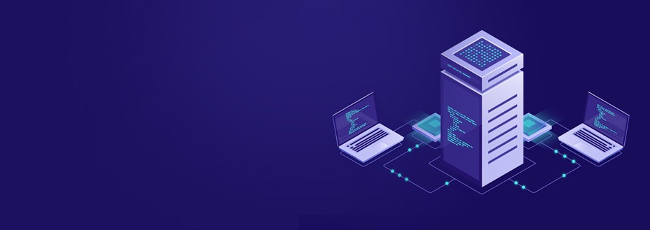 Master Data Management Services