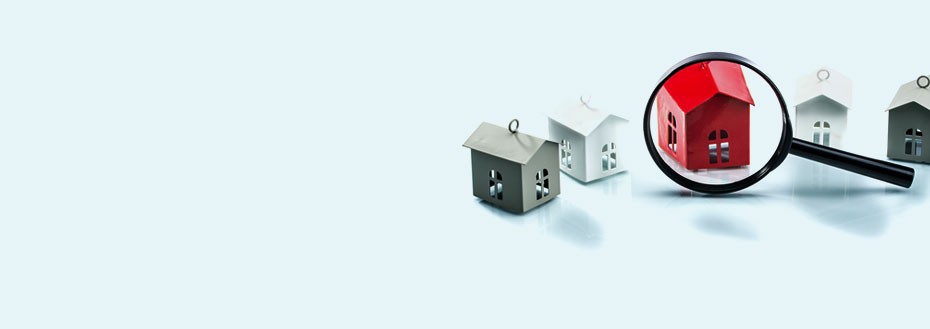 Real Estate Data Management Services