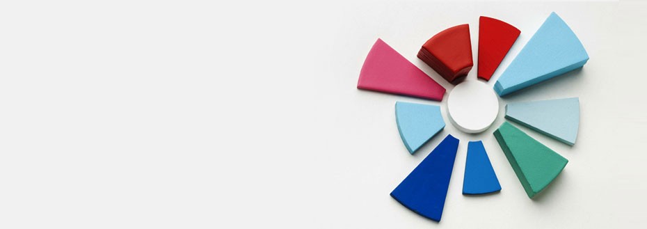 Statistical Data Analysis Services