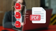 Text Formatting Services