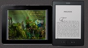 Fixed Layout eBook