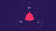 Venn Diagram Support