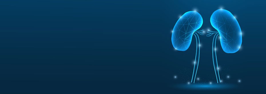 Anatomy Illustration Services