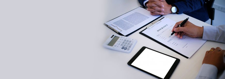 Healthcare Claims Adjudication Services