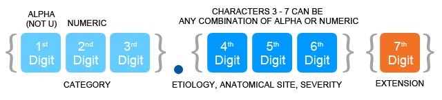 ICD 10 Implementation