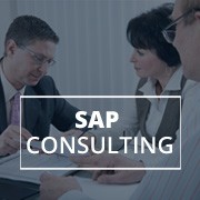 SAP Consulting Services SAP Consulting Services