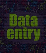 Data Entry Services