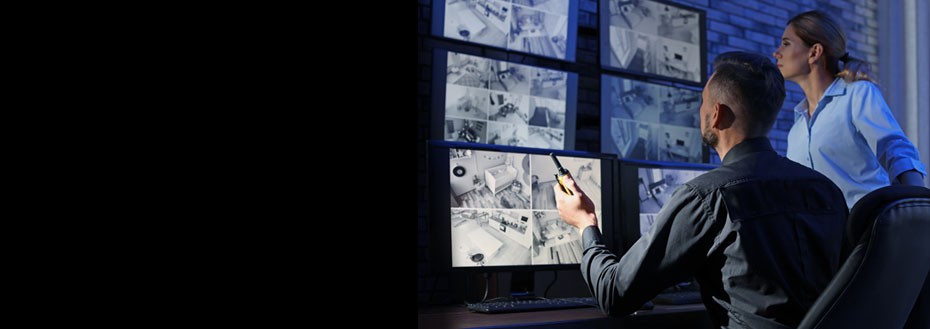 Video Monitoring Services