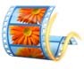 Windows Movie Maker