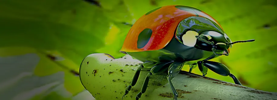 3D Animation Services