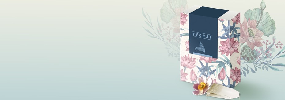 Brand Illustration Services