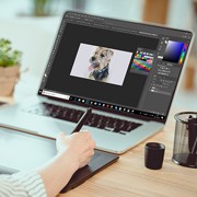 Case Study on illustration Services for Animal Rights Activist