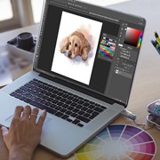 Case Study on Illustration Services for Pet Cloning Firm