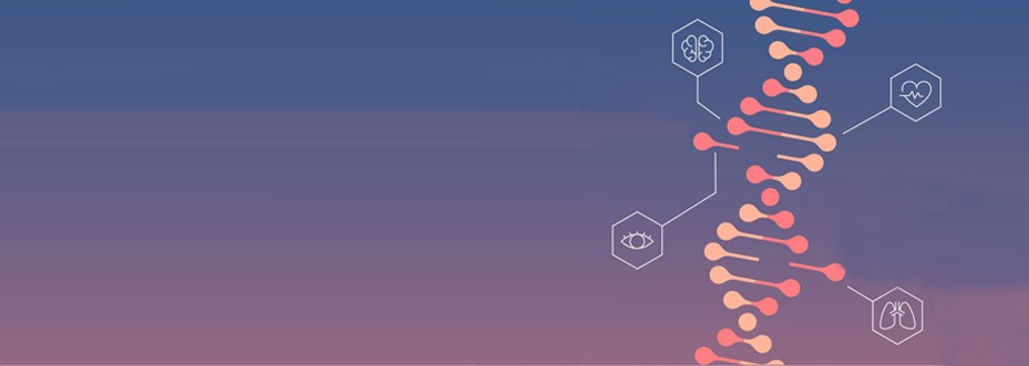 Scientific Illustration Services