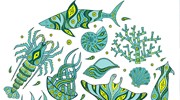 Illustration of Marine Life