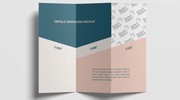 Z-Fold Real Estate Brochure