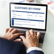 O2I Provided B3 Form Processing for International Customs Broker