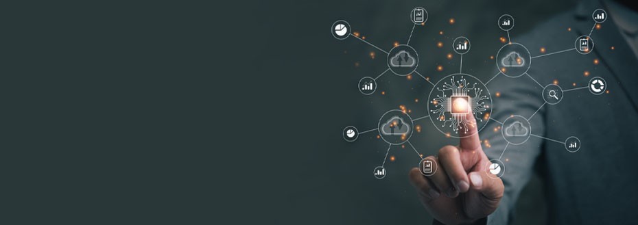 Data Fabric Services