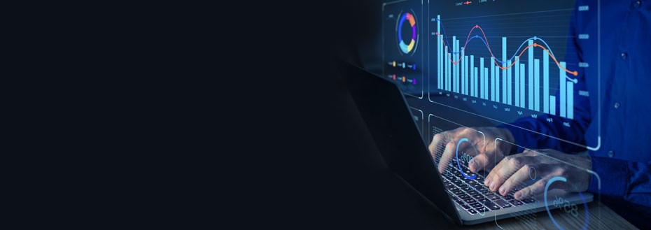 Fraud Analytics Services