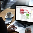 O2I Provided PDF to Excel Data Conversion for a Florida-Based Professor