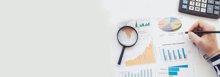 audit-support-services-for-cpas-and-accounting-firms