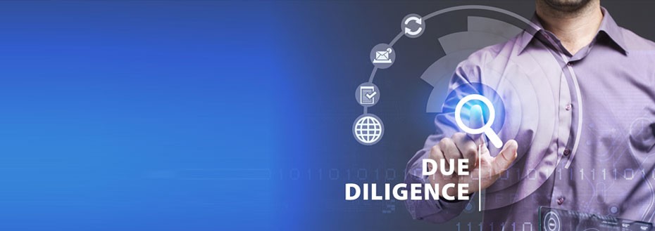 Due Diligence Services