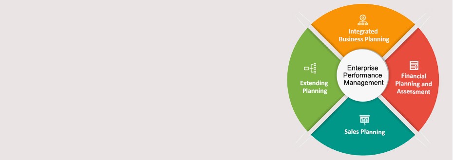 Enterprise Performance Management Services