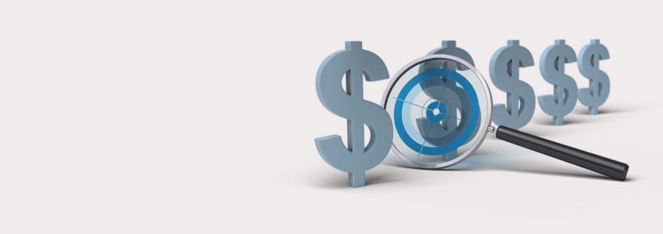 Financial Controller Services