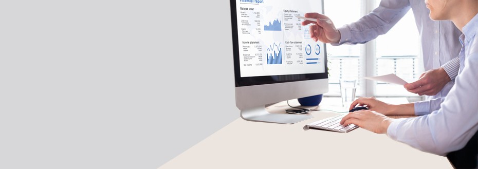 Financial Statement Audit Services