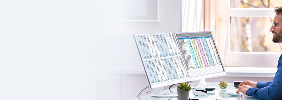 Fixed Asset Auditing Services
